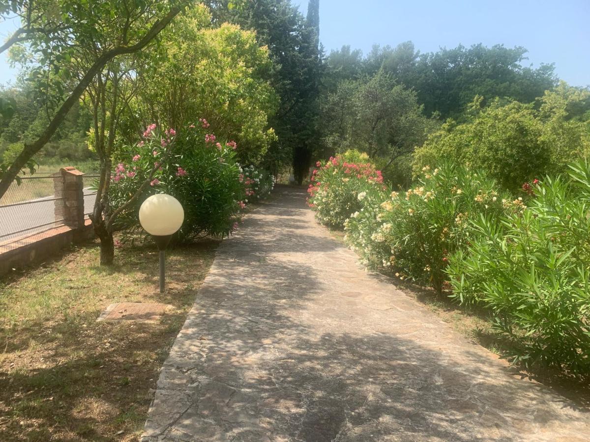 לורג Villa San Marco Chambre D Hotes מראה חיצוני תמונה